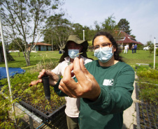 Serão plantadas mais 130 mil mudas de árvores visando a recuperação ambiental das barragens  -  Curitiba, 21/09/2021  -  Foto: André Thiago/Sanepar