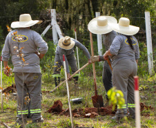 Serão plantadas mais 130 mil mudas de árvores visando a recuperação ambiental das barragens  -  Curitiba, 21/09/2021  -  Foto: André Thiago/Sanepar