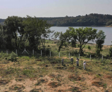 Sanepar comemora o dia da árvore com plantio de árvores para recuperação ambiental das barragens  -  Foto: Sanepar