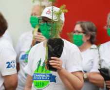 Nesta terça-feira (21), o Dia da Árvore foi comemorado em diversos municípios do Paraná com a distribuição e plantio de mais de 400 mil mudas de espécies nativas. As mudas foram distribuídas pelo Instituto Água e Terra (IAT) que possui 19 viveiros florestais e dois laboratórios de sementes de árvores nativas. Foto: Alessandro Vieira/SEDEST