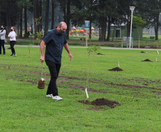 Nesta terça-feira (21), o Dia da Árvore foi comemorado em diversos municípios do Paraná com a distribuição e plantio de mais de 400 mil mudas de espécies nativas. As mudas foram distribuídas pelo Instituto Água e Terra (IAT) que possui 19 viveiros florestais e dois laboratórios de sementes de árvores nativas. Foto: Alessandro Vieira/SEDEST
