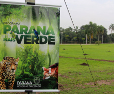 Nesta terça-feira (21), o Dia da Árvore foi comemorado em diversos municípios do Paraná com a distribuição e plantio de mais de 400 mil mudas de espécies nativas. As mudas foram distribuídas pelo Instituto Água e Terra (IAT) que possui 19 viveiros florestais e dois laboratórios de sementes de árvores nativas. Foto: Alessandro Vieira/SEDEST