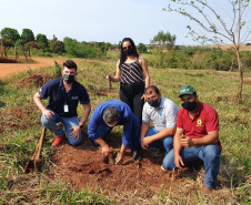 Em diversas cidades do Paraná, as ações em comemoração ao Dia da Árvore (21) ocorrem durante toda a semana. As iniciativas são promovidas pelos 21 Escritórios Regionais do Instituto Água e Terra (IAT) conforme a demanda de cada região. O IAT é um órgão vinculado à Secretaria de Estado do Desenvolvimento Sustentável e do Turismo (Sedest). -  Curitiba, 22/09/2021  -  Foto: IAT/SEDEST