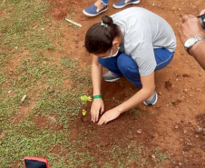 Em diversas cidades do Paraná, as ações em comemoração ao Dia da Árvore (21) ocorrem durante toda a semana. As iniciativas são promovidas pelos 21 Escritórios Regionais do Instituto Água e Terra (IAT) conforme a demanda de cada região. O IAT é um órgão vinculado à Secretaria de Estado do Desenvolvimento Sustentável e do Turismo (Sedest). -  Curitiba, 22/09/2021  -  Foto: IAT/SEDEST