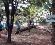 Em diversas cidades do Paraná, as ações em comemoração ao Dia da Árvore (21) ocorrem durante toda a semana. As iniciativas são promovidas pelos 21 Escritórios Regionais do Instituto Água e Terra (IAT) conforme a demanda de cada região. O IAT é um órgão vinculado à Secretaria de Estado do Desenvolvimento Sustentável e do Turismo (Sedest). -  Curitiba, 22/09/2021  -  Foto: IAT/SEDEST