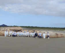 IAT orienta sobre cuidados com baleia morta encontrada na Ilha do Mel. Foto:LEC/UFPR