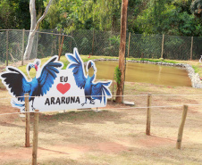 O secretário do Desenvolvimento Sustentável e do Turismo (Sedest), Márcio Nunes, inaugurou, nesta quinta-feira (23), o primeiro Parque Urbano do Paraná no município de Araruna, no Centro-Oeste do Estado.  - Araruna, 23/09/2021  -  Foto: Alessandro Vieira/SEDEST