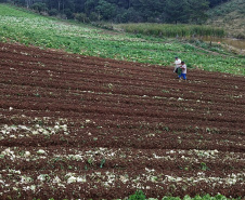 Reconhecer as melhores práticas econômicas, ambientais e sociais do agronegócio paranaense. Esse é o objetivo do prêmio Orgulho da Terra, lançado pelo Instituto de Desenvolvimento Rural do Paraná-Iapar-Emater (IDR-Paraná), em parceria com o Grupo Ric e o sistema Ocepar.  Foto: José Fernando Ogura/AEN