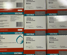 Paraná recebe 55,2 mil vacinas contra a Covid-19 para segunda dose; 229,3 mil chegam à noite  -  Foto: Andressa Desyreé/SESA