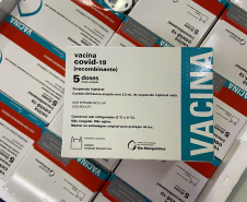 Paraná recebe 55,2 mil vacinas contra a Covid-19 para segunda dose; 229,3 mil chegam à noite  -  Foto: Andressa Desyreé/SESA