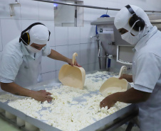 Com melhor resultado do Sul em agosto, Paraná abre 153 mil vagas de emprego no ano.Foto:José Fernando Ogura/AEN