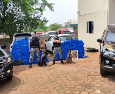 Os esforços da Polícia Militar e da Polícia Federal para reprimir o crime organizado no Norte do Paraná resultaram na apreensão de mais de uma tonelada de maconha na quarta-feira (29/09), em Bela Vista do Paraíso (PR).  - 30/09/2021  -  Foto: PMPR