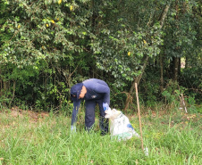 O mutirão ambiental realizado nesta quinta-feira (30) em Cascavel retirou cerca de 12 mil quilos de lixo e entulho nas áreas da bacia do Rio Cascavel, da região do Lago Municipal às margens da BR 277. A ação, promovida pela Sanepar, em parceria com a Copel, Secretaria Municipal de Meio Ambiente, ONG Amigos dos Rios, teve ajuda do Clube Regatas Cascavel, Rotary Clube Integração e voluntários da cidade.  -  Cascavel, 30/09/2021  -  Foto: Sanepar