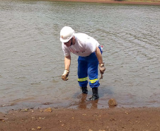 O mutirão ambiental realizado nesta quinta-feira (30) em Cascavel retirou cerca de 12 mil quilos de lixo e entulho nas áreas da bacia do Rio Cascavel, da região do Lago Municipal às margens da BR 277. A ação, promovida pela Sanepar, em parceria com a Copel, Secretaria Municipal de Meio Ambiente, ONG Amigos dos Rios, teve ajuda do Clube Regatas Cascavel, Rotary Clube Integração e voluntários da cidade.  -  Cascavel, 30/09/2021  -  Foto: Sanepar