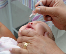 Paraná realiza Campanha de Multivacinação para crianças e adolescentes. Foto: Venilton Kuchler/Arquivo SESA