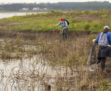 Voluntários da Sanepar e parceiros retiraram cerca de uma tonelada de resíduos da Barragem do Passaúna e do entorno, na manhã desta quinta-feira (30), em Curitiba. O trabalho foi feito com caiaques, stand-ups, canoas e até bicicleta. Participaram cerca de 75 pessoas, da Prefeitura de Curitiba, Rotary Club, Passaúna Paddle Club e da comunidade. -  Curitiba, 30/09/2021  -  Foto: André Thiago/Sanepar