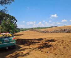 Operação Mata Atlântica em Pé aplicou R$ 15,6 milhões em multas por desmatamento ilegal . Foto: SESP