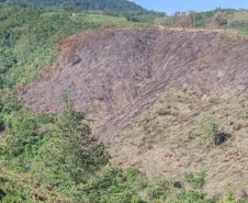 Operação Mata Atlântica em Pé aplicou R$ 15,6 milhões em multas por desmatamento ilegal . Foto: SESP