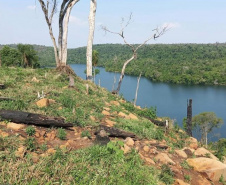 Operação Mata Atlântica em Pé aplicou R$ 15,6 milhões em multas por desmatamento ilegal . Foto: SESP