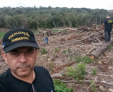 Operação Mata Atlântica em Pé aplicou R$ 15,6 milhões em multas por desmatamento ilegal . Foto: IAT