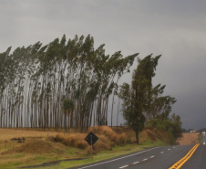 Diferente de setembro, novo mês começa com chuva no Paraná, que deverá permanecer no final de semana. Foto: Gilson Abreu/AEN