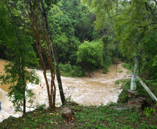 Chuva regularizou vazão do Córrego Água Fria e possibilitou suspensão do rodízio em Siqueira Campos  -  Curitiba, 04/10/2021  -  Sanepar