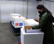 
Saúde distribui primeiras vacinas para reforço de idosos acima de 60 anos e trabalhadores da saúde e anuncia chegada de novos lotes dos imunizantes . Foto: Américo Antonio/SESA