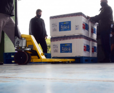 As 344.210 doses da vacina contra a Covid-19 referentes à 56ª pauta de distribuição do Ministério da Saúde chegaram ao Paraná nesta terça-feira (5). Foto: Américo Antonio/SESA