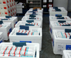 As 344.210 doses da vacina contra a Covid-19 referentes à 56ª pauta de distribuição do Ministério da Saúde chegaram ao Paraná nesta terça-feira (5). Foto: Américo Antonio/SESA