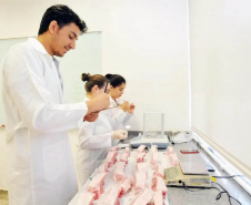 As Universidades Estaduais do Paraná possuem 231 cientistas relacionados no AD Scientific Index Ranking 2021, publicação que classifica em lista os 10 mil pesquisadores mais influentes da América Latina. -  Curitiba, 06/10/2021  -  Foto: SETI