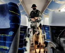 Secretários de estado da segurança pública reúnem-se para avaliação da operação Fronteiras e Divisas Integradas I   -  Curitiba, 06/10/2021  -  Foto: SESP-PR