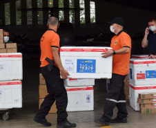 583,6 mil vacinas contra a Covid-19 são distribuídas nesta quarta. Foto: Américo Antonio/SESA