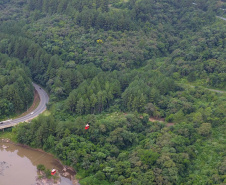 Paraná é o segundo maior produtor florestal do País, segundo IBGE
. Na foto, Telêmaco Borba. Foto: José Fernando Ogura/AEN