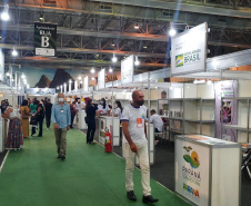 O Estado do Paraná foi representado na 28ª Agrinordeste, tradicional feira realizada em Recife (PE), que termina nesta sexta-feira (08). O evento é uma oportunidade para a atração de mais turistas ao Estado, especialmente no turismo rural e no enoturismo, principais destaques paranaenses na feira. -  Curitiba, 07/10/2021  -  Foto: Paraná Turismo