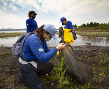 Voluntários da Sanepar e parceiros retiraram cerca de uma tonelada de resíduos da Barragem do Passaúna e do entorno, na manhã desta quinta-feira (30), em Curitiba. O trabalho foi feito com caiaques, stand-ups, canoas e até bicicleta. Participaram cerca de 75 pessoas, da Prefeitura de Curitiba, Rotary Club, Passaúna Paddle Club e da comunidade. -  Curitiba, 30/09/2021  -  Foto: André Thiago/Sanepar