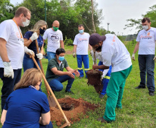O mutirão ambiental realizado nesta quinta-feira (30) em Cascavel retirou cerca de 12 mil quilos de lixo e entulho nas áreas da bacia do Rio Cascavel, da região do Lago Municipal às margens da BR 277. A ação, promovida pela Sanepar, em parceria com a Copel, Secretaria Municipal de Meio Ambiente, ONG Amigos dos Rios, teve ajuda do Clube Regatas Cascavel, Rotary Clube Integração e voluntários da cidade.  -  Cascavel, 30/09/2021  -  Foto: Sanepar