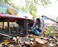 Nesta segunda-feira (27), 18 voluntários participaram da ação de limpeza de praias nas comunidades de Europinha e Ilha do Teixeira, no entorno dos portos de Paranaguá e Antonina, na Baía de Paranaguá. - Paranaguá, 27/09/2021  -  Foto: Claudio Neves/Portos do Paraná