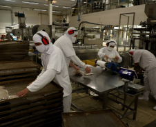 A indústria paranaense cresceu 1,5% em agosto, na evolução frente a julho, segundo o Instituto Brasileiro de Geografia e Estatística (IBGE). Apenas sete dos 15 locais analisados na Pesquisa Industrial Mensal (PIM-PF Regional) apontaram crescimento (além do Paraná, evoluíram os parques fabris de Amazonas, Paraná, Bahia, Rio de Janeiro, São Paulo e Santa Catarina), enquanto a média nacional recuou 0,7%.