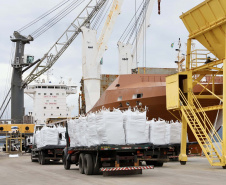 Portos do Paraná fecham setembro com um volume de 44,5 milhões de cargas movimentadas no ano. Foto: Claudio Neves/Portos do Paraná