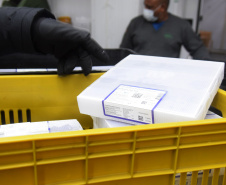 Paraná recebe mais 154.440 vacinas contra a Covid-19 nesta segunda. Foto: Américo Antonio/SESA