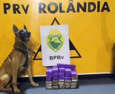 Apreensões de drogas e excesso de velocidade nas rodovias estaduais marcam feriado da Padroeira no Paraná  -  Curitiba, 13/10/2021  -  Foto: BPRv
