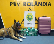 Apreensões de drogas e excesso de velocidade nas rodovias estaduais marcam feriado da Padroeira no Paraná  -  Curitiba, 13/10/2021  -  Foto: BPRv