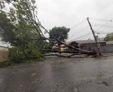 Copel e Sanepar trabalham para restabelecer luz e água em municípios atingidos por temporal. Foto: Copel