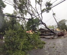 Copel e Sanepar trabalham para restabelecer luz e água em municípios atingidos por temporal. Foto: Copel