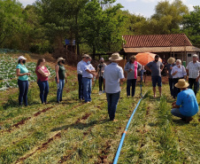 Difundir tecnologias sustentáveis para a produção agrícola é um dos propósitos do IDR-Paraná (Instituto de Desenvolvimento Rural do Paraná - Iapar-Emater).  O Sistema de Plantio Direto de Hortaliças (SPDH) é uma dessas práticas que vêm sendo levadas aos agricultores. Na região de Cascavel um dia de campo mostrou aos olericultores as vantagens e soluções para problemas surgidos durante implementação do sistema.  - Curitiba, 14/10/2021 - Foto: IDR-PR