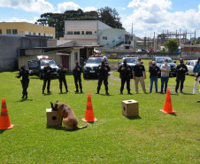 Servidores do Departamento Penitenciário do Paraná organizaram uma campanha para arrecadação de doces e brinquedos que foram entregues nesta quarta-feira (13), a crianças do Centro Municipal de Educação Infantil Ana Maria, em Piraquara, na Região Metropolitana de Curitiba. Além dos presentes, uma apresentação com cães que atuam no sistema prisional alegrou a tarde da criançada.  -  Curitiba, 14/10/2021 - Foto: DEPEN/PR