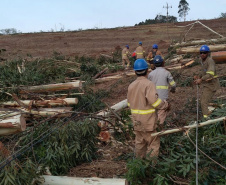 Nas últimas 24 horas, mais de 40 mil domicílios tiveram o fornecimento de energia regularizado pelas equipes de emergência, manutenção e obras da Copel, que seguem trabalhando para recompor as redes elétricas danificadas pelas chuvas que atingiram as regiões Oeste e Noroeste do Estado no fim da semana. Na foto, Equipes trabalham nos reparos em Francisco Alves  -  Curitiba, 16/10/2021  -  Foto: Copel 