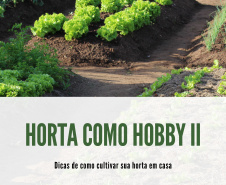Agricultura lança segundo volume da cartilha “Horta como Hobby”  - Curitiba, 19/10/2021 - Foto: SEAB