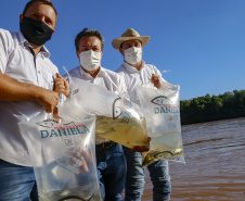 21.10.2021 - Governador Carlos Massa Ratinho Junior promove a soltura de 20 mil dourados no rio Ivai em Ivatuba.
Foto Gilson Abreu/AEN