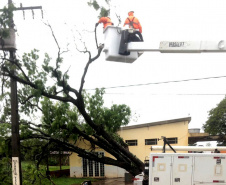 O balanço dos estragos causados pelo temporal contabiliza quase 1,2 mil postes e nove torres de transmissão derrubados pela força dos ventos e pela queda de galhos e árvores. Cidades inteiras chegaram a ficar sem energia e para recompor o fornecimento de luz, desde a madrugada do dia 14, cerca de 1.800 eletricistas estiveram em campo. Mais de 20 mil ocorrências foram atendidas, a fim de regularizar o fornecimento. - Curitiba, 21/10/2021 - Foto: Copel